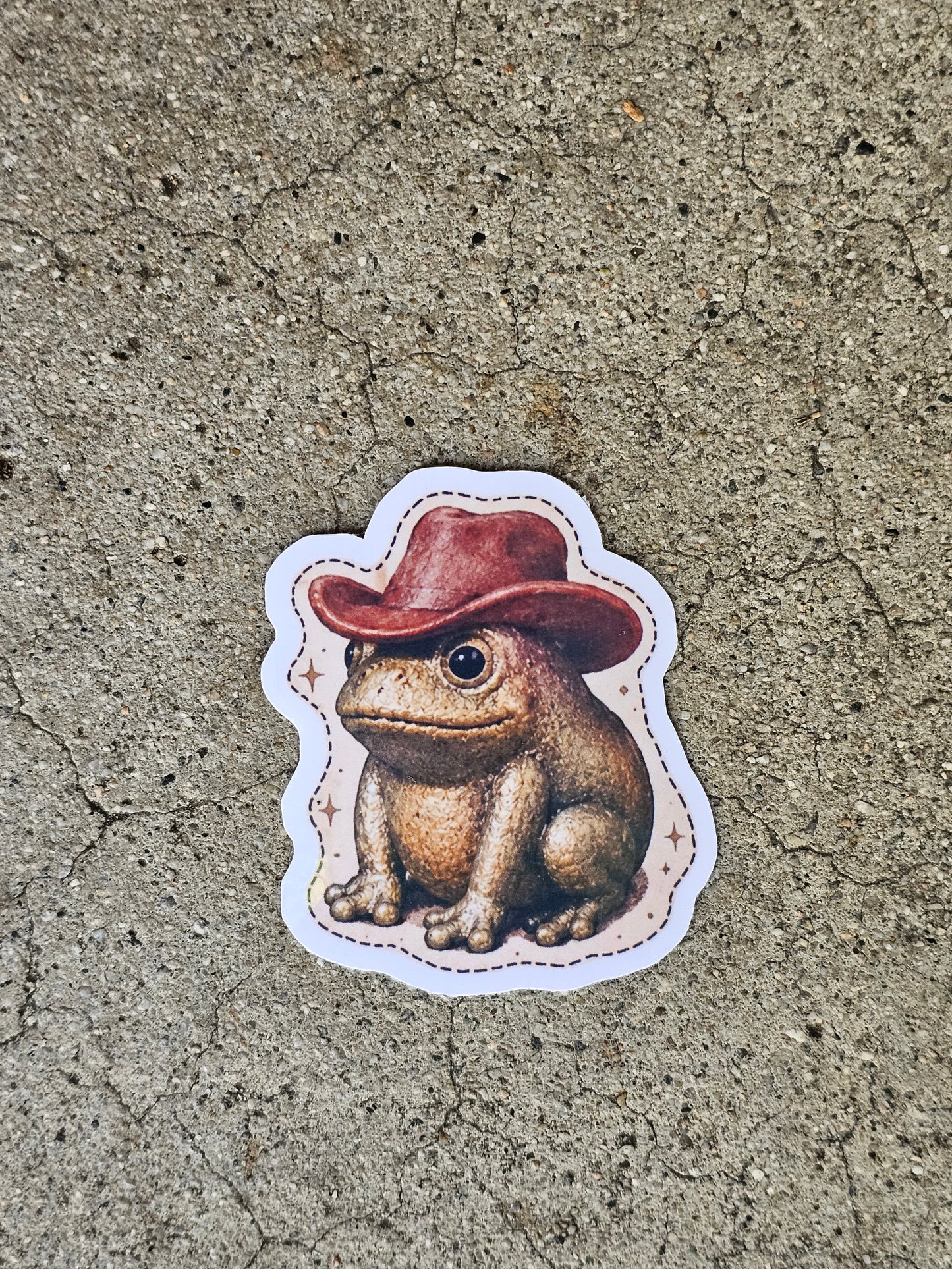 Cowboy, Mushroom, Boots Frog Stickers