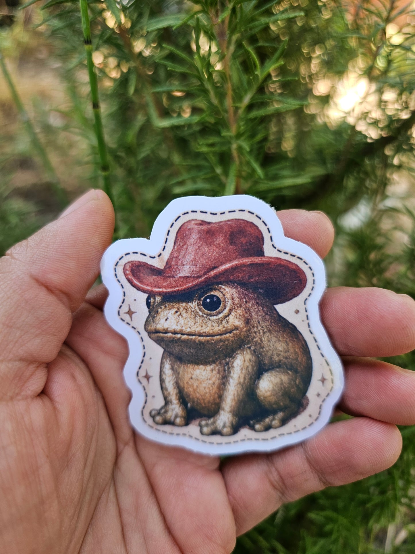 Cowboy, Mushroom, Boots Frog Stickers